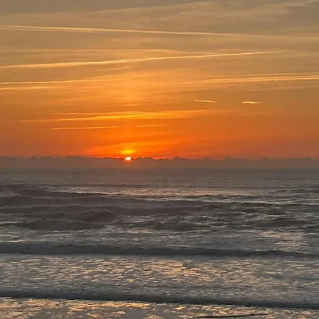 Ocean Bourdaines Beachocean A 2 Min * Seignosse